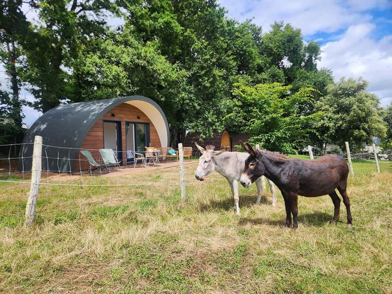 Gites & Tiny Houses Les Hauts De Toulvern Baden Pokoj fotografie