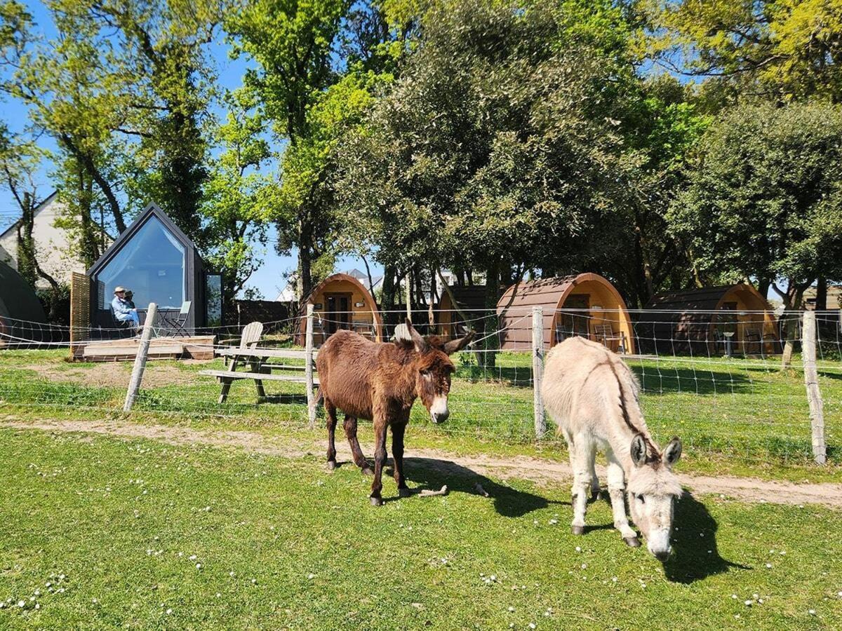 Gites & Tiny Houses Les Hauts De Toulvern Baden Pokoj fotografie